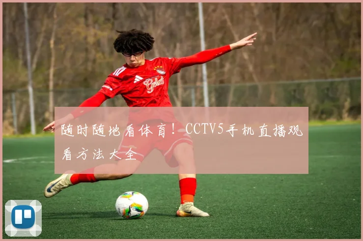 随时随地看体育！CCTV5手机直播观看方法大全